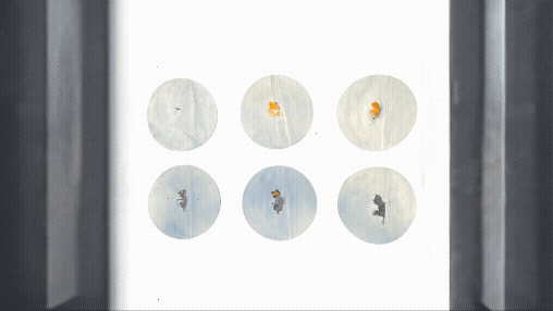 כוחו של המינור: מדוע הפורמט הקטן הוא הענק החדש של עולם האמנות?