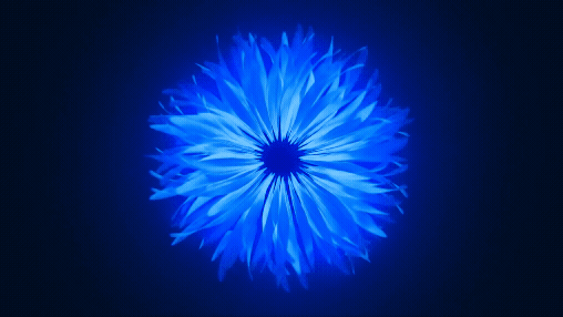 כחול, שקט ועומק: למה אנחנו נמשכים אליו