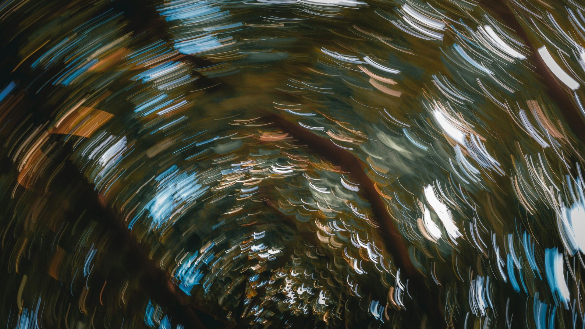 איך לבנות אתר באינטרנט לאמן