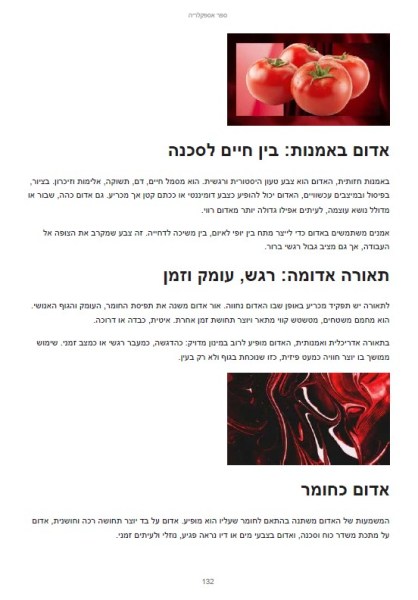 ⁦ספר אספקלריה: ארכיטקטורה של אור ותיאטרון דיגיטלי | מאת ליליה קוסטרוב⁩ – תמונה ⁦5⁩